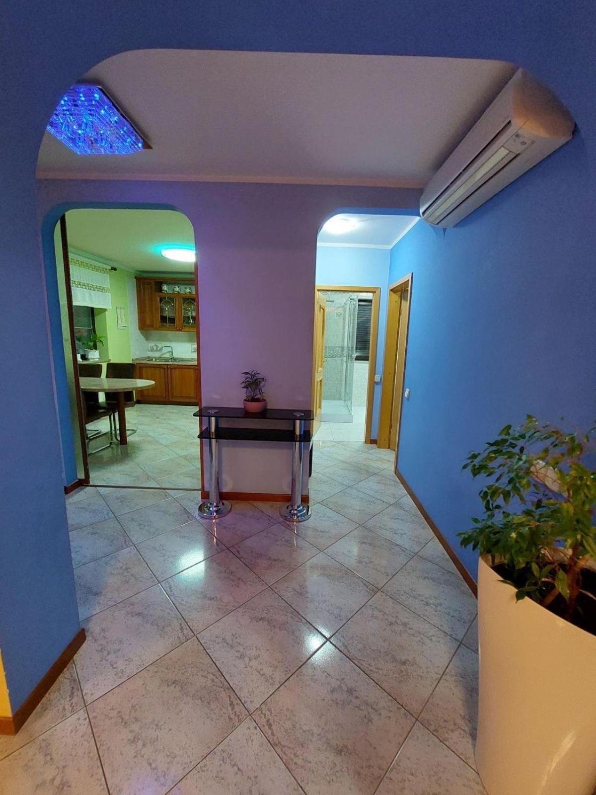 Apartma Mimi Dekani Exterior foto